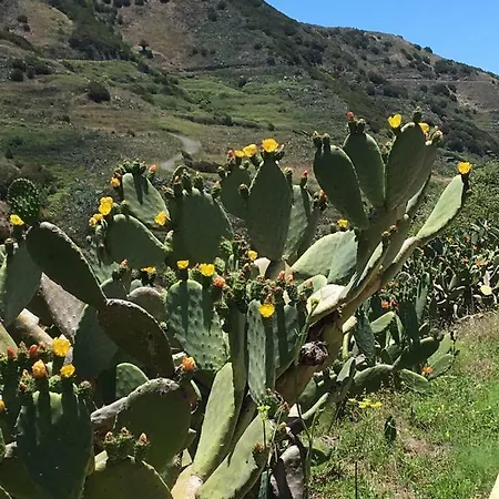 Royal Marina Golf-b Апартаменты