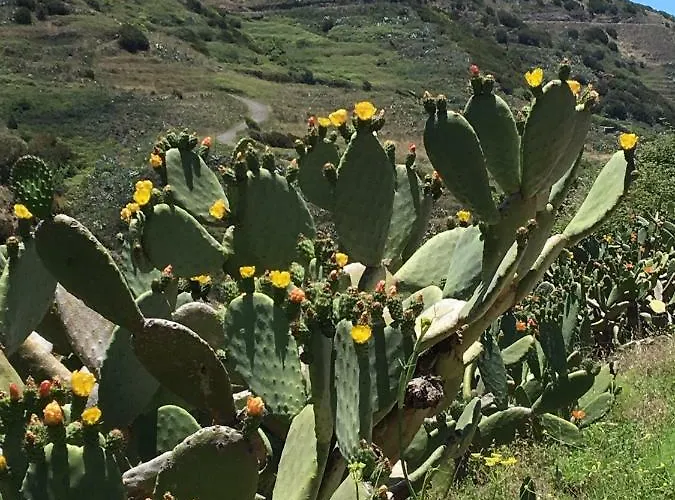 Royal Marina Golf-b Apartment